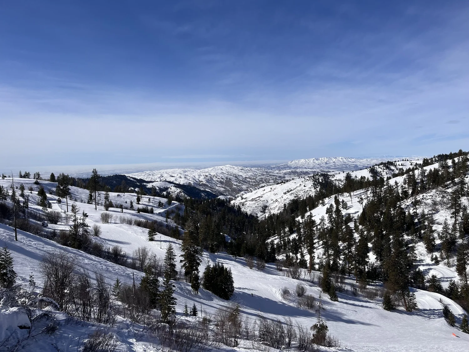 Mountain Review: Bogus Basin